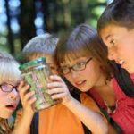Quels sont les avantages offerts par une classe découverte ?