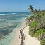 Quelles sont les différentes activités possibles au cours d’une escapade en Guadeloupe