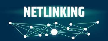 netlinking