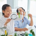 classe découverte scientifique