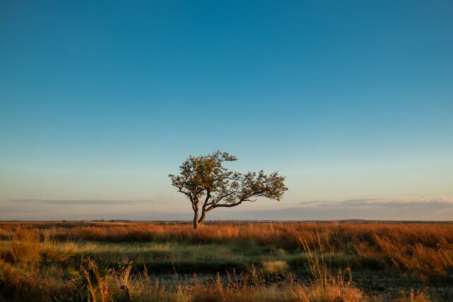 Randonnée à Madagascar