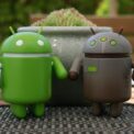 root android