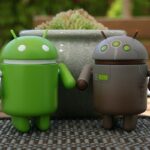 root android