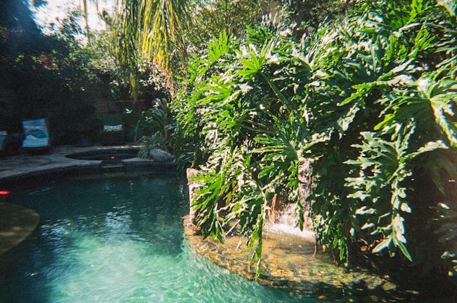 jardin aquatique